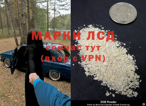 соль ск Приозерск